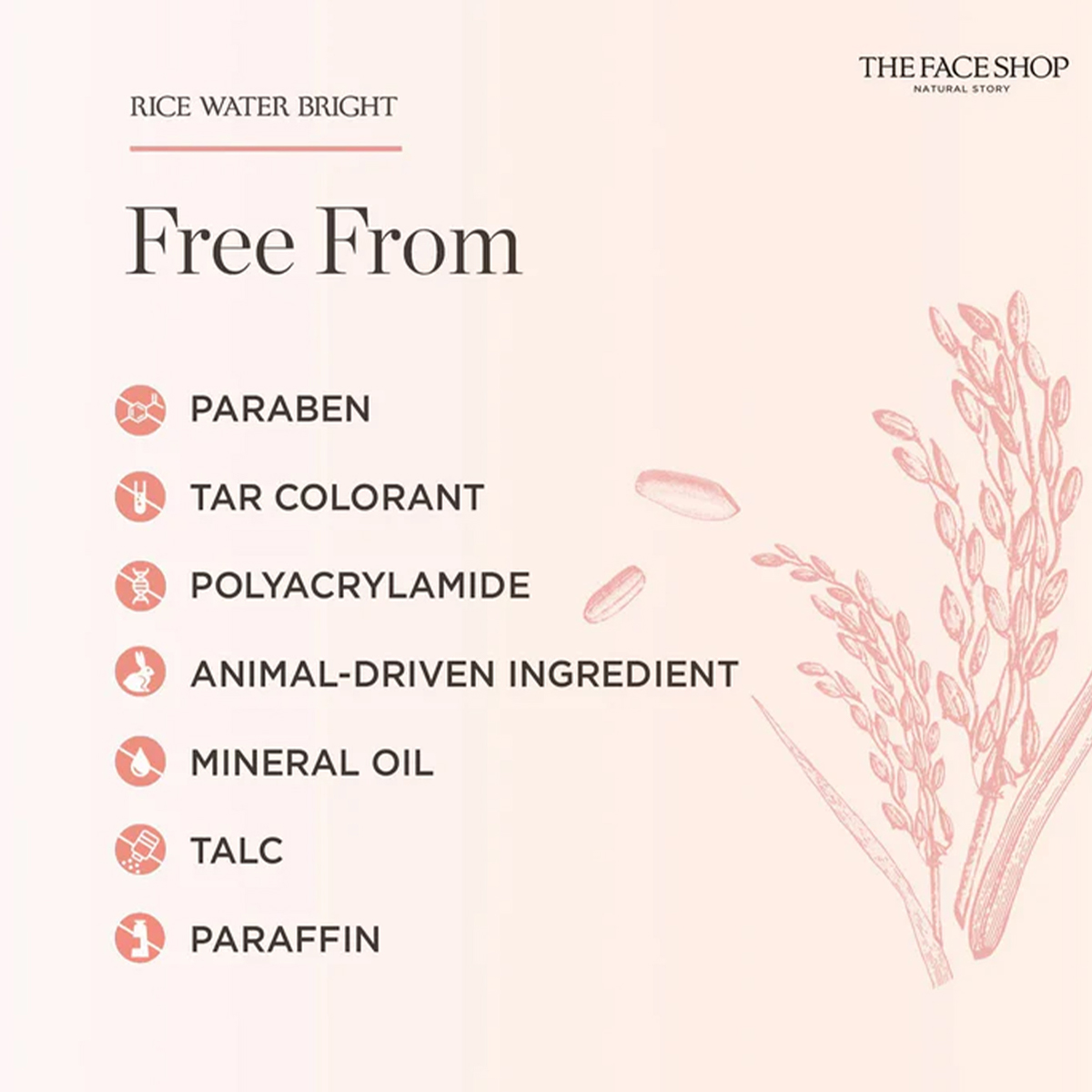 THE FACE SHOP RICE WATER BRIGH - đánh giá và giá High Luxury Skincare